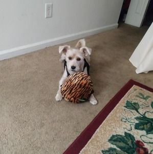 Meet your Posher, Jeff